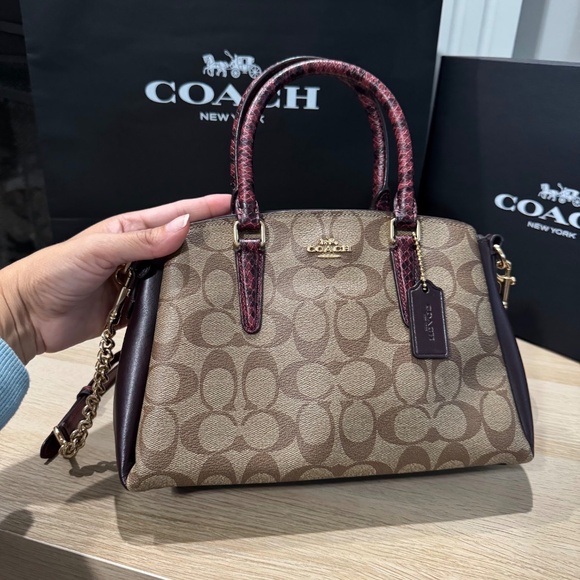 Coach Mini Sage Carryall Satchel Crossbody Bag Brown/Red Signature Canvas F84623 - Picture 10 of 13